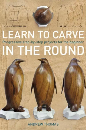learn to carve in the round progressive step by step p