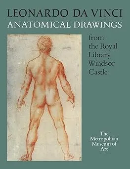 leonardo da vinci anatomical drawings from the royal library windsor castle2