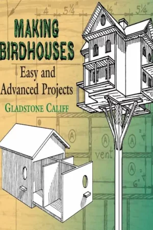 making birdhouses easy and advanced projects