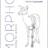 mammals elements of comparative morphology