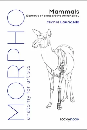 mammals elements of comparative morphology