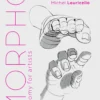 morpho hands and feet anatomy for artists