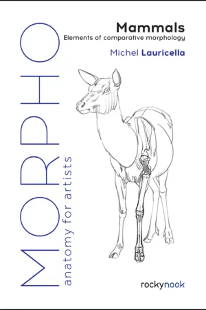 morpho mammals elements of comparative morphology morpho anatomy for artists 9 1