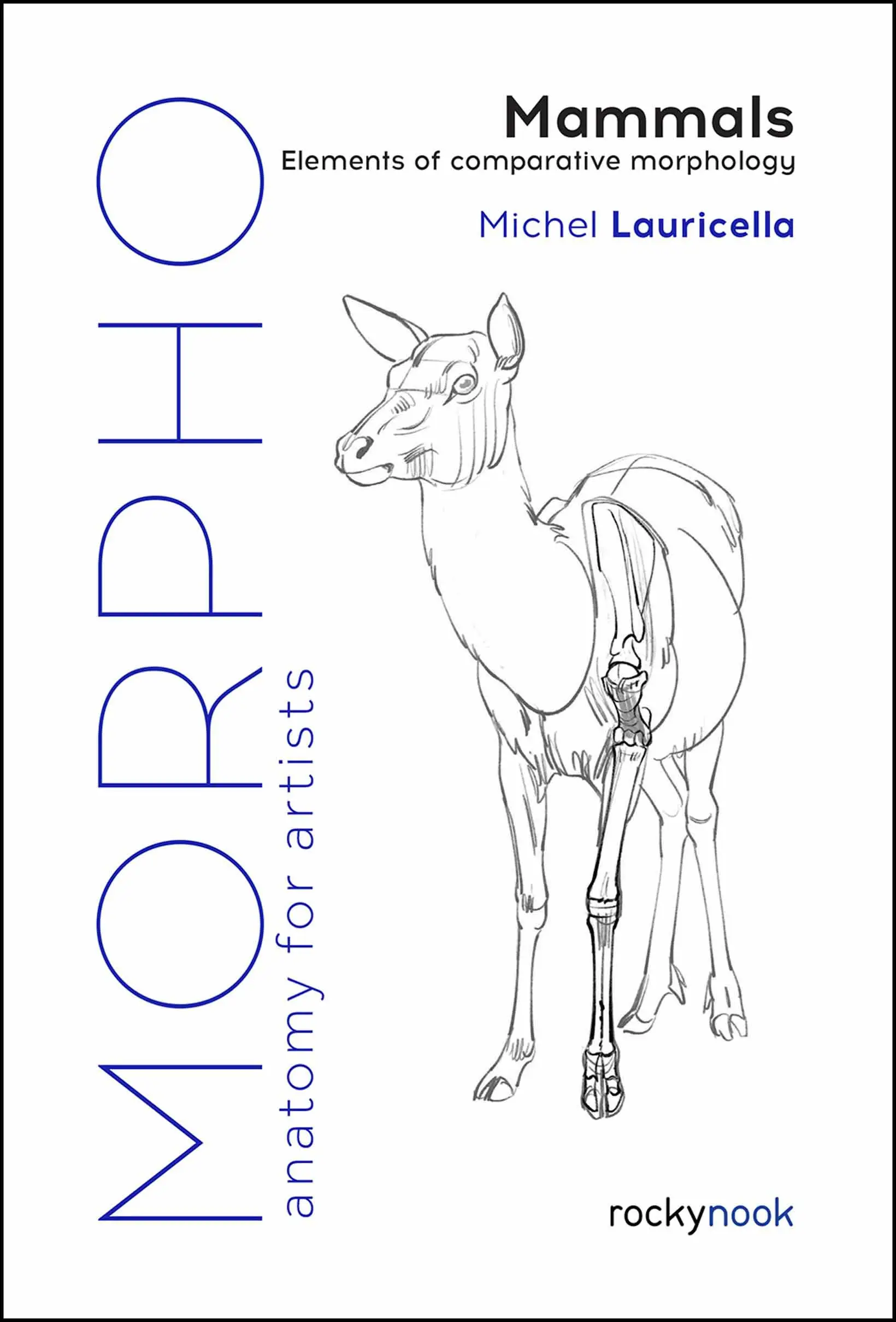 morpho mammals elements of comparative morphology