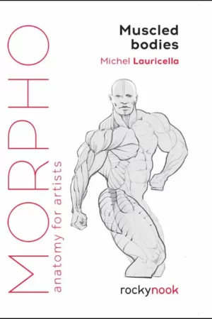 muscled bodies anatomy for artists