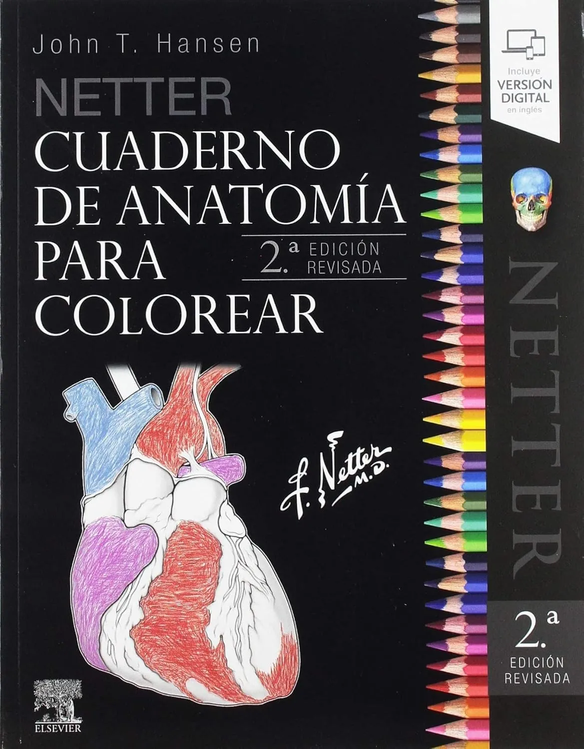 netter cuaderno de anatoma para colorear 2 ed