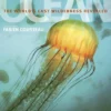 ocean the worlds last wilderness revealed