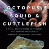 octopus squid and cuttlefish