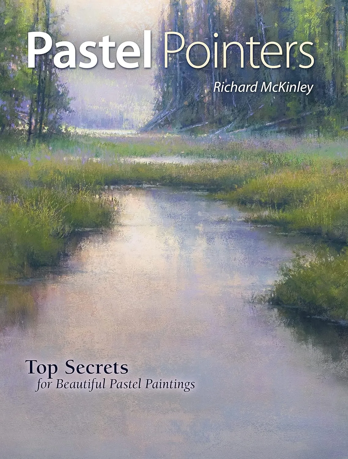 pastel pointers top 100 secrets for beautiful paintings 1