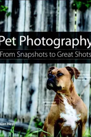 pet photography from snapshots to great shots
