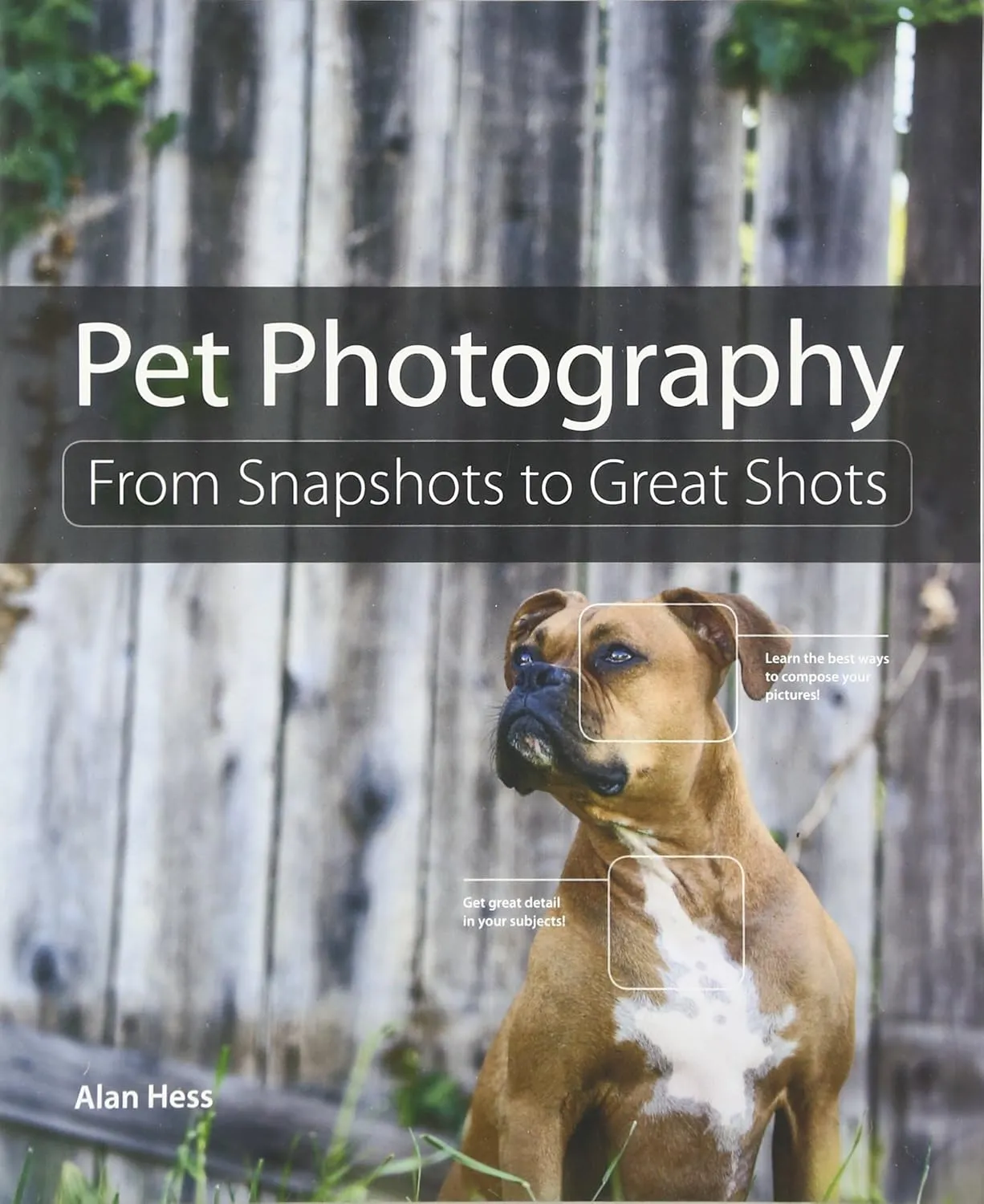 pet photography from snapshots to great shots 1