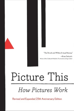 picture this how pictures work