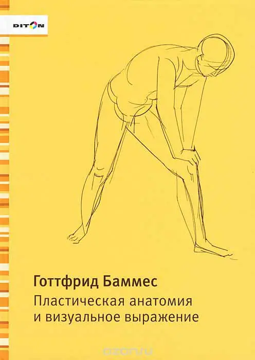plasticheskaya anatomiya i vizualnoe vyrazhenie