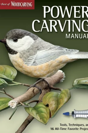 power carving manual tools techniques and 16 all time favorite projects the best of woodcarving illustrated fox chapel publishing step by step instructions original patterns expert advice
