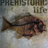 prehistoric life 1 edition