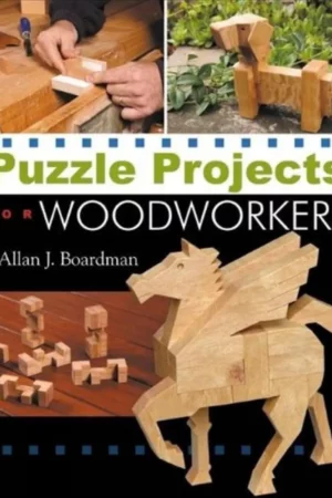 puzzle projects for woodworkers 1
