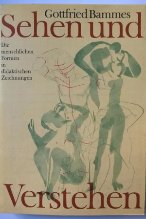 sehen und verstehen die menschlichen formen in didaktischen zeichnungen