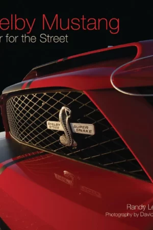 shelby mustang racer for the street