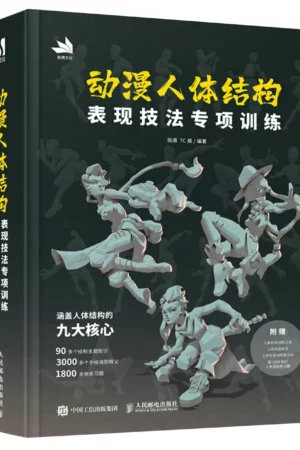 special training on animation human body structure expression
