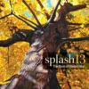 splash 13 the best of watercolor