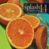 splash 14 light color