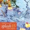 splash 15 creative solutions