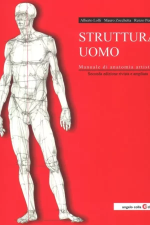 struttura uomo ediz illustrata manuale di anatomia art