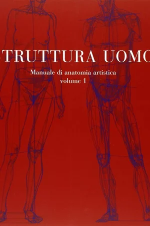 struttura uomo ediz illustrata manuale di anatomia artistica vol 1