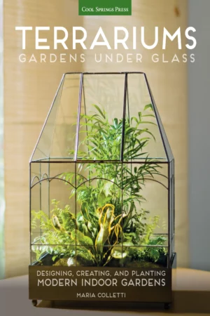terrariums gardens under glass