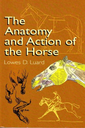 the anatomy and action of the horse 