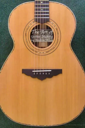 the art of guitar making amp major repairs