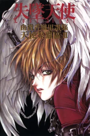 the art of angel sanctuary 2