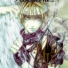 the art of angel sanctuary angel cage