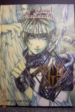 the art of angel sanctuary angel cage 1