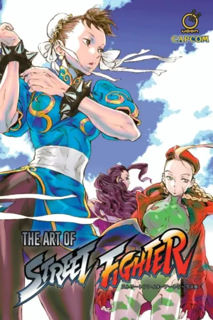 the art of street fighter