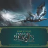 the art of the film fantastic beasts and where to find them