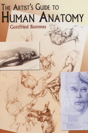 the artists guide to human anatomy 2