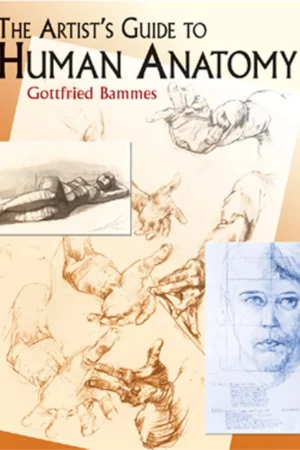 the artists guide to human anatomy dover anatomy for artists