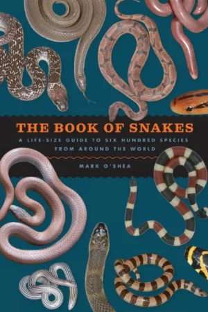 the book of snakes a life size guide to s