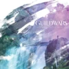 the complete art of guild wars arenanet 20th anniversary edition