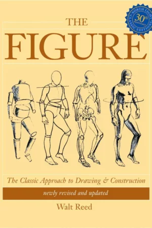 the figure 1