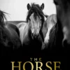the horse encyclopedia