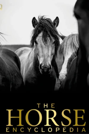 the horse encyclopedia