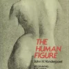 the human figure