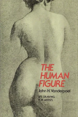 the human figure 2
