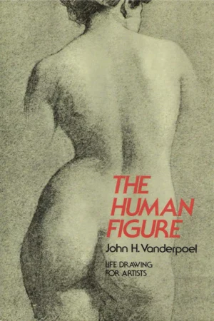 the human figure