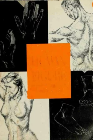 the human figure an anatomy for artists 1