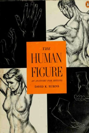 the human figure an anatomy for artists