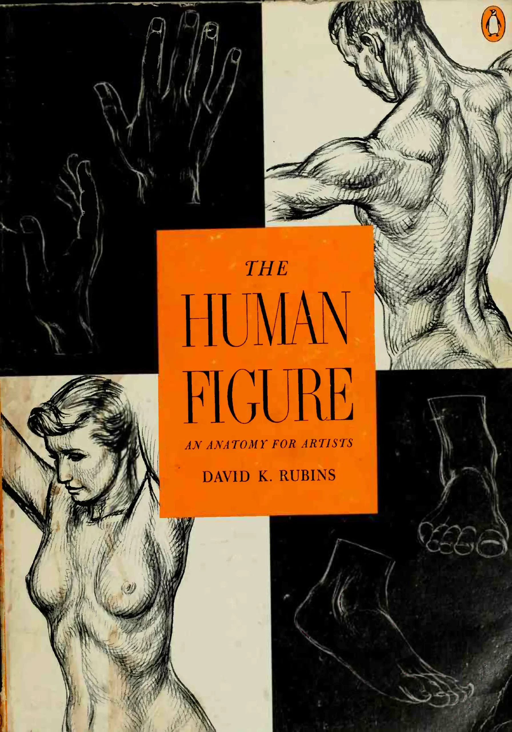 the human figure an anatomy for artists