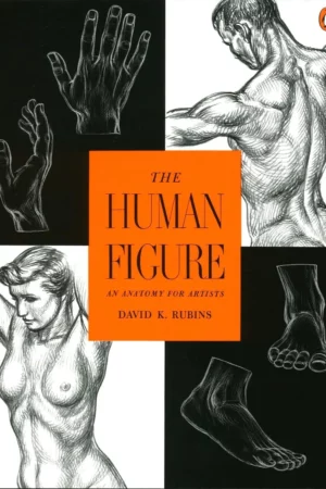 the human figure an anatomy for artists 1 1